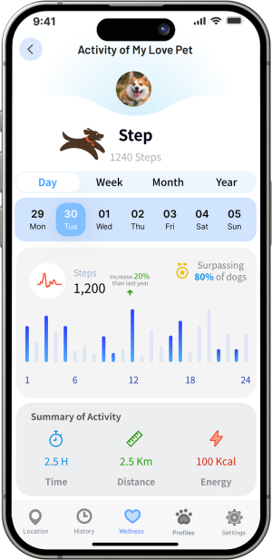 iphone_wellness