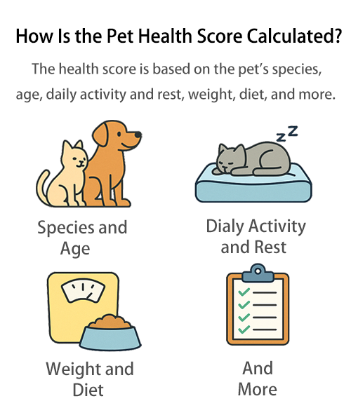 Read more about the article How Is the Pet Health Score Calculated?
