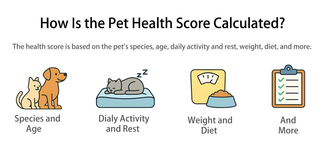 Read more about the article How Is the Pet Health Score Calculated?