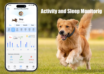 fea_activity_monitoring